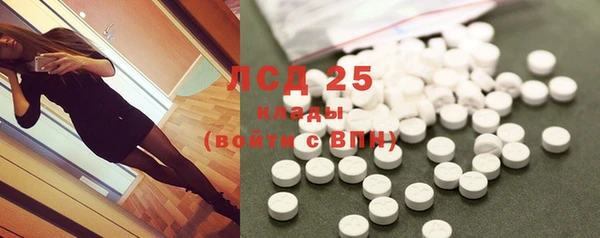 ГАЛЛЮЦИНОГЕННЫЕ ГРИБЫ Баксан