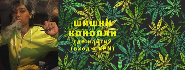 дживик Балахна