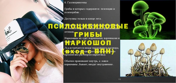 ГАЛЛЮЦИНОГЕННЫЕ ГРИБЫ Баксан