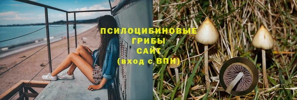 ГАЛЛЮЦИНОГЕННЫЕ ГРИБЫ Баксан